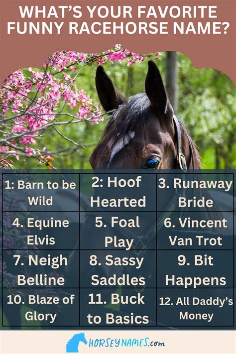 asian bookie horse racing forum|funny horse names.